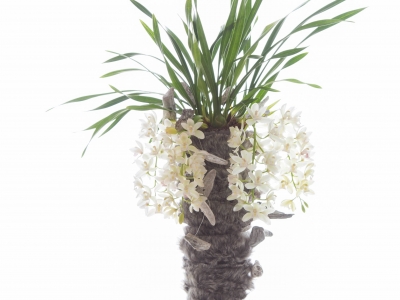 Zelfs een 'natural beauty' kleed zich graag mooi aan!