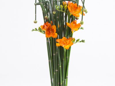 Freesia design met Equisetum