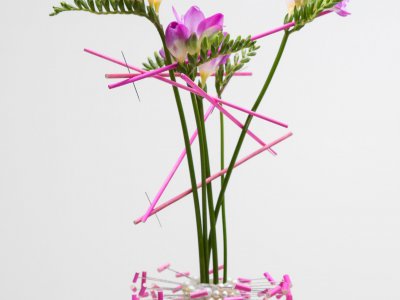 Roze glamour Freesia's