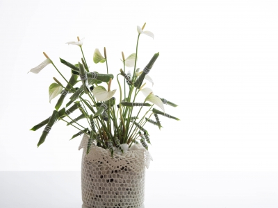 een Anthurium net even anders gestyled