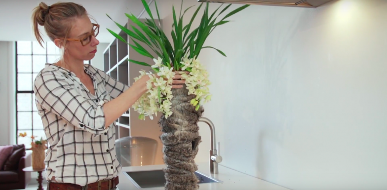 Cascade Cymbidium planten arrangement