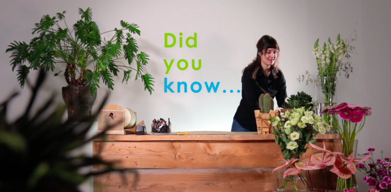 Wist je dat... het niet uitmaakt hoe je het doet...