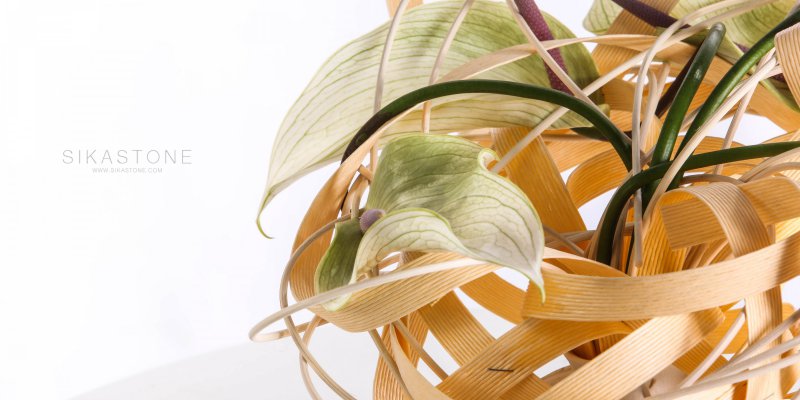 Bloemwerk met snij Anthurium van Pim van den Akker