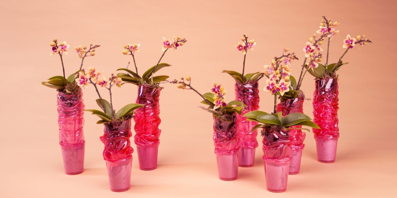 Plastic Fantastic van Geertje Stienstra