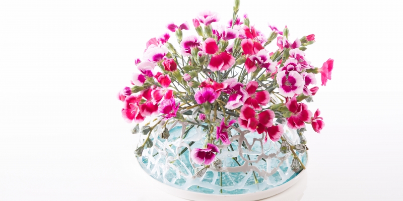 Verrassend Solomio design