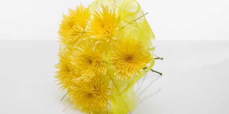 Zomer creatie - Zentoo moodboard zomer