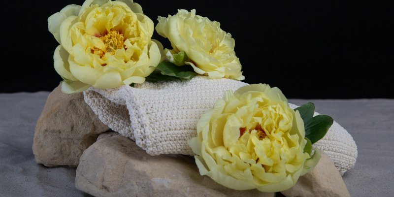 Nature's Luxury: pioenroos 'Bartzella'