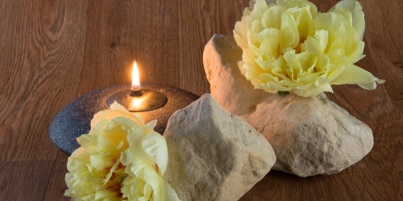 Nature's Luxury: pioenroos 'Bartzella'