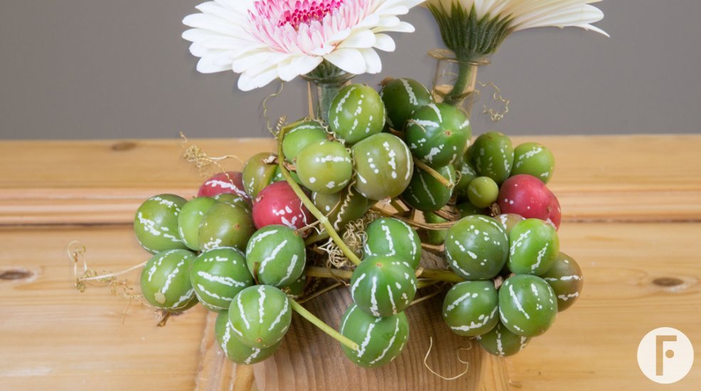 wooden ball with glass tubes Pim van den Akker