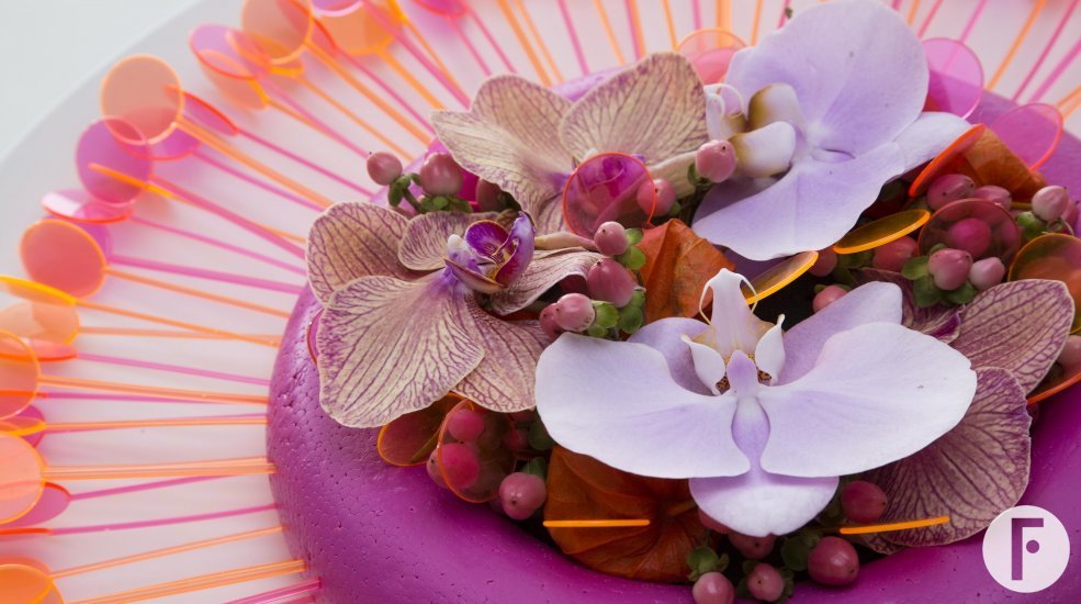 summer fluorescent and funny close 1 Alex