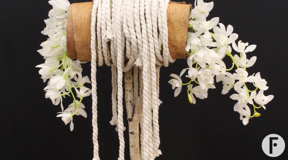 foto 9 Sarah Dikker 2