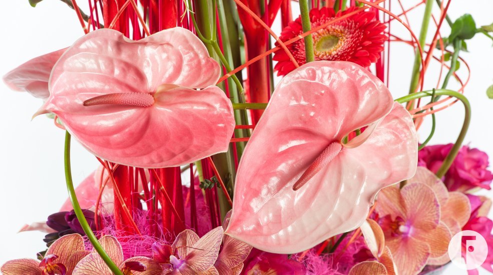 uitbundige roodroze zomercreatie met Fiore Anthuriums