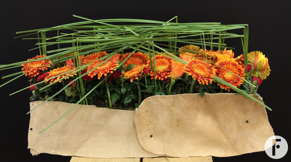 foto 2 Regina Motmans 4