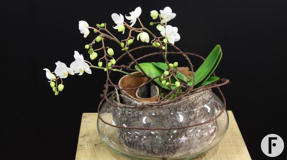 foto 4 Geertje Stienstra 3