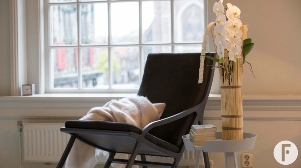 phalaenopsis Formidablo