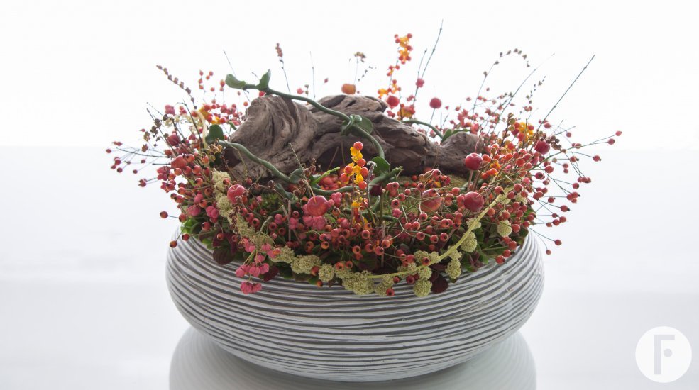 570A9755 small fairy garden totaal sRGB