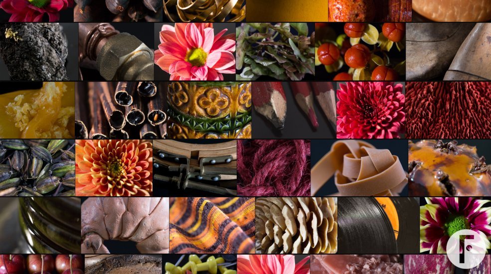 Zentoo Fall Moodboard sRGB