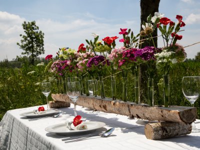 Flower Factor viert 7-jarig bestaan