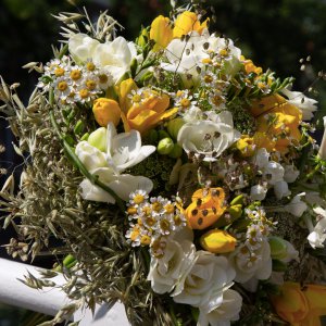 Online wedstrijd: geurende Freesiaboeketten