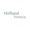 Hofland Freesia