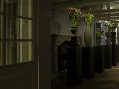 Lisianthus in de Linnenkamer