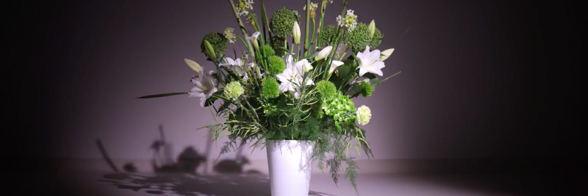 OASIS BLACK IDEAL Floral Foam - Clever designs