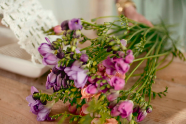 Fris Freesia design