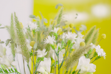 Wit en gouden Freesia design