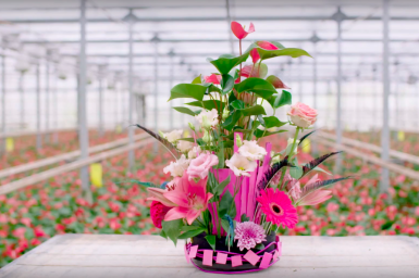 een bloemrijk plantenarrangement