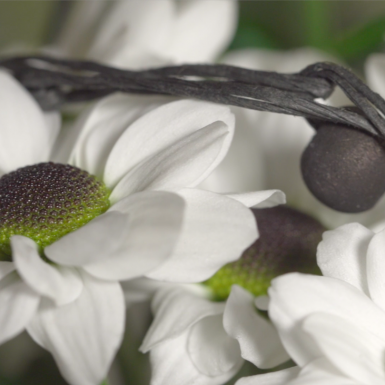 Ontmoet de Yin Yang familie