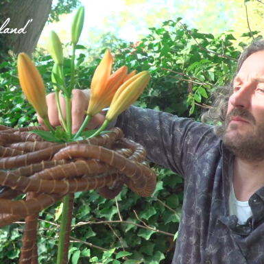 Sterk bloemwerk met Sunderland lelies