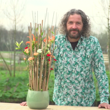 Een fris bloemwerk met Dianthus