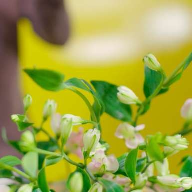 Charmelia boeket in frame
