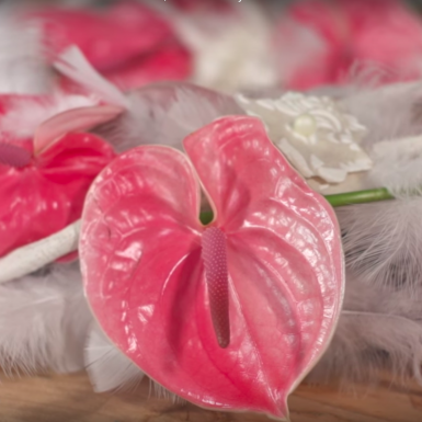 Krans met Anthurium en veertjes