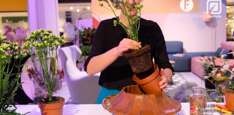 Groen Wonen inspiratie - Modern Kalanchoe arrangement