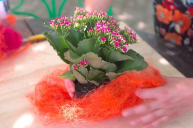 een kleurrijke Kalanchoe tafelaankleding
