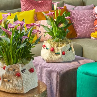 Groen Wonen inspiratie - Simply Calla voor een sfeervol interieur