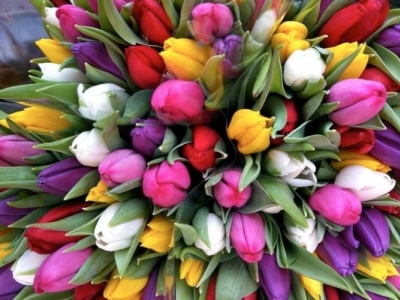 Ontwerpwedstrijd SIGN