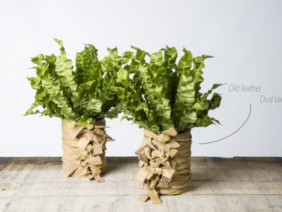 Pim blogt: Upcycling