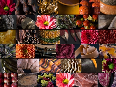 'In the mood' voor chrysanten