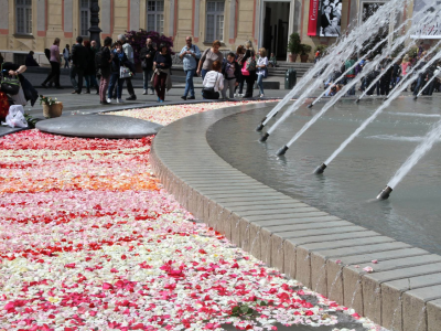 Short impression of the European Floristry Championship 2016