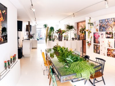 Website start modellenbureau voor planten en bloemen 