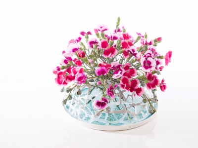 Stap voor Stap: een verrassend bloemwerk met Solomio