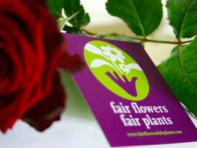 Weinig vraag consumenten naar keurmerken voor bloemen en planten