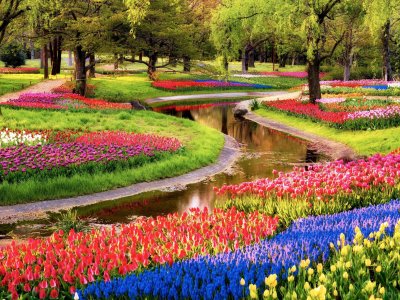 Keukenhof is weer geopend