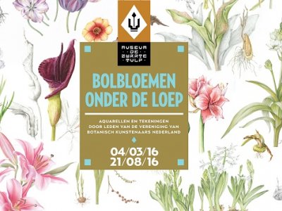 Agenda: Bolbloemen onder de loep