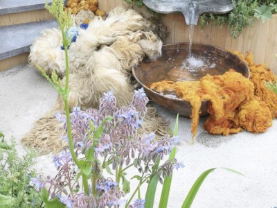 Nederlandse tuin wint zilver op beroemdste tuintentoonstelling ter wereld