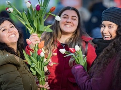 Tulpenseizoen opent met 200.000 tulpen op de Dam
