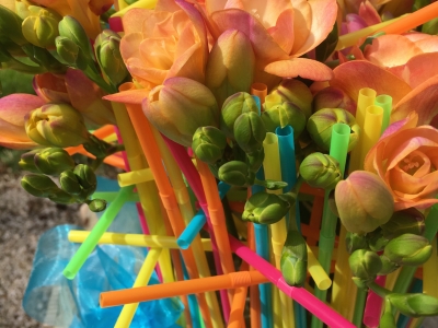 #FreestyleFreesia: start video serie