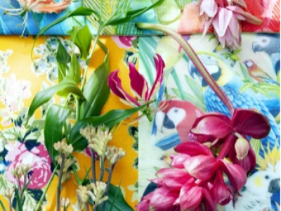 Tropische schoonheden in de schijnwerpers